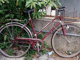 Biciclette a Udine - 022.jpg